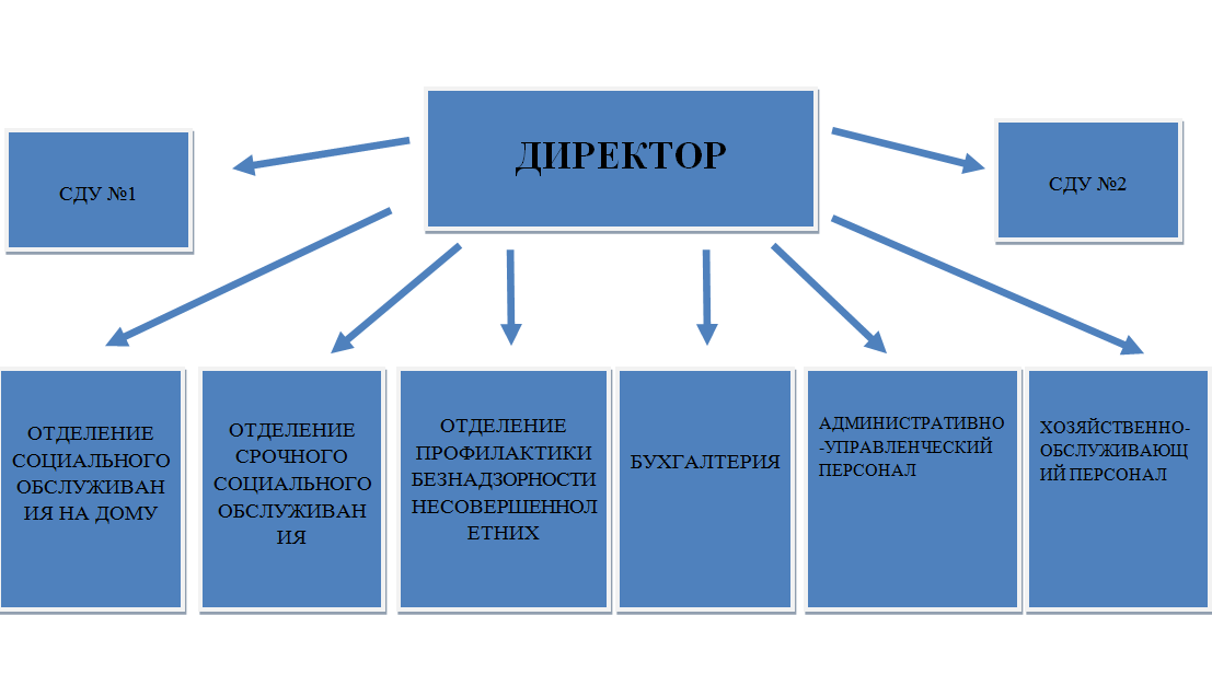 Структура организации